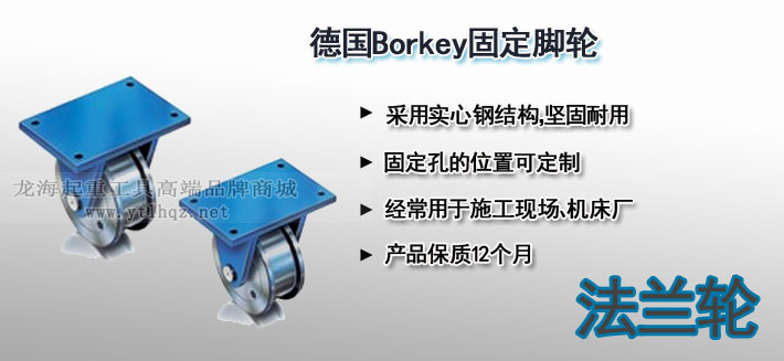 德國(guó)Borkey固定腳輪圖片